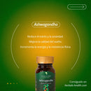 🍃 Ashwagandha - Multivitaminas 💯