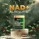 🔥 Reus Research NAD+ | Energía ⚡ Juventud 🛡️ Claridad Mental 🧠